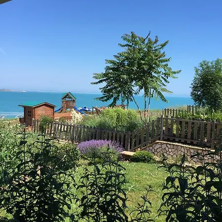 Apartment Antea Pontica